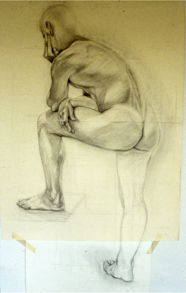 graphite drawing of male model