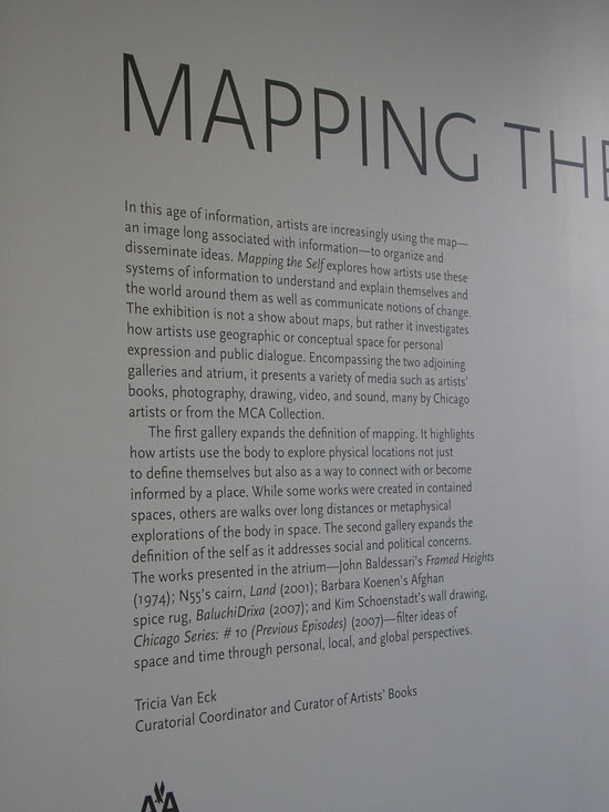 mapping the self museum of contemporary art chicago